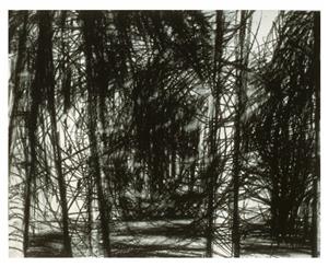 Landscape Drawing 1984